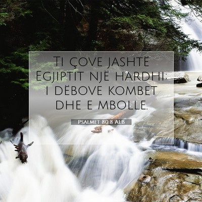 Picture 07 - Psalmet 80:8 ALB - Ti çove jashtë Egjiptit një hardhi; i dëbove - Bible Verse Picture
