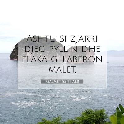 Picture 07 - Psalmet 83:14 ALB - Ashtu si zjarri djeg pyllin dhe flaka gllabëron - Bible Verse Picture