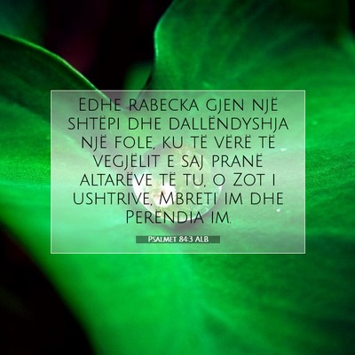 Picture 07 - Psalmet 84:3 ALB - Edhe rabecka gjen një shtëpi dhe dallëndyshja - Bible Verse Picture
