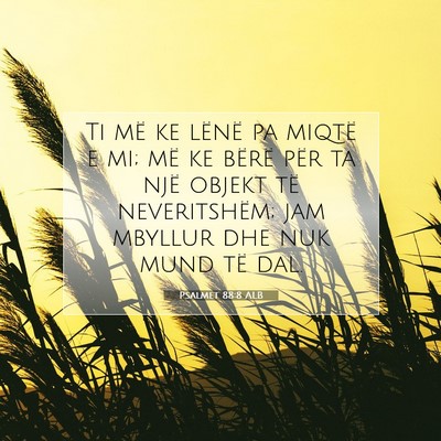 Picture 07 - Psalmet 88:8 ALB - Ti më ke lënë pa miqtë e mi; më ke bërë - Bible Verse Picture