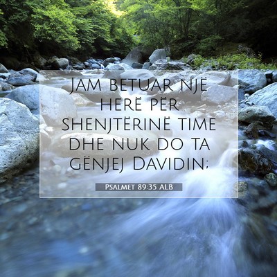 Picture 07 - Psalmet 89:35 ALB - Jam betuar një herë për shenjtërinë time dhe - Bible Verse Picture