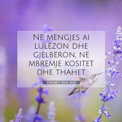 Picture 07 - Psalmet 90:6 ALB - Në mëngjes ai lulëzon dhe gjelbëron, në - Bible Verse Picture