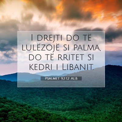 Picture 07 - Psalmet 92:12 ALB - I drejti do të lulëzojë si palma, do të - Bible Verse Picture