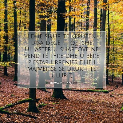 Picture 07 - Romakëve 11:17 ALB - Edhe sikur të këputen disa degë, ti që ishe - Bible Verse Picture