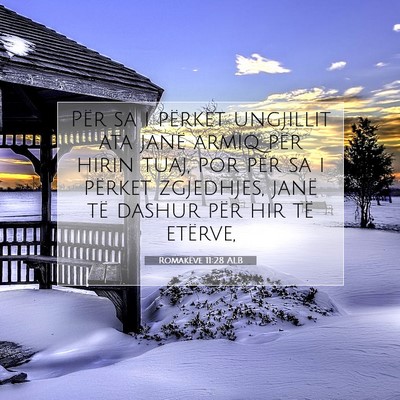 Picture 07 - Romakëve 11:28 ALB - Për sa i përket ungjillit ata janë armiq për - Bible Verse Picture