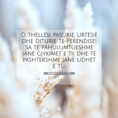 Picture 07 - Romakëve 11:33 ALB - O thellësi pasurie, urtësie dhe diturie të - Bible Verse Picture