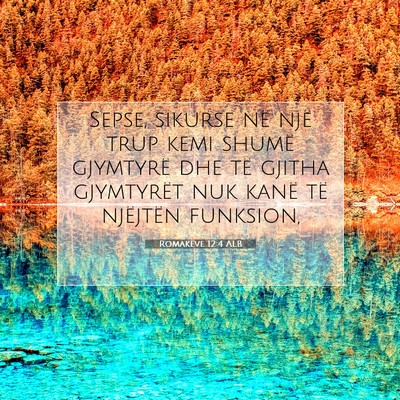 Picture 07 - Romakëve 12:4 ALB - Sepse, sikurse në një trup kemi shumë - Bible Verse Picture