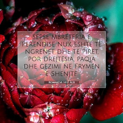 Picture 07 - Romakëve 14:17 ALB - sepse mbretëria e Perëndisë nuk është të - Bible Verse Picture