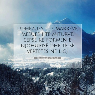 Picture 07 - Romakëve 2:20 ALB - udhëzues i të marrëve, mësues i të miturve, - Bible Verse Picture