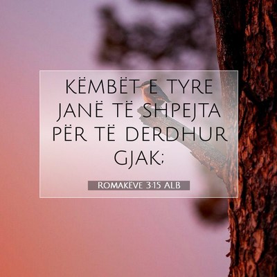 Picture 07 - Romakëve 3:15 ALB - këmbët e tyre janë të shpejta për të - Bible Verse Picture