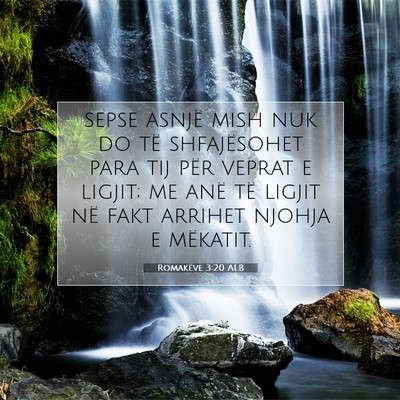 Picture 07 - Romakëve 3:20 ALB - sepse asnjë mish nuk do të shfajësohet para - Bible Verse Picture