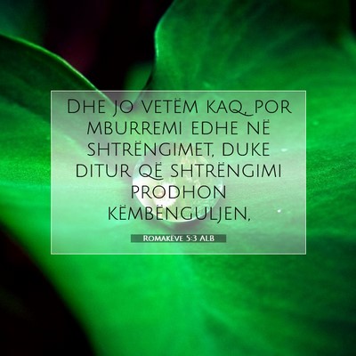 Picture 07 - Romakëve 5:3 ALB - Dhe jo vetëm kaq, por mburremi edhe në - Bible Verse Picture
