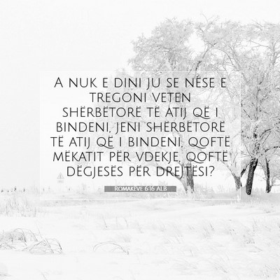 Picture 07 - Romakëve 6:16 ALB - A nuk e dini ju se nëse e tregoni veten - Bible Verse Picture