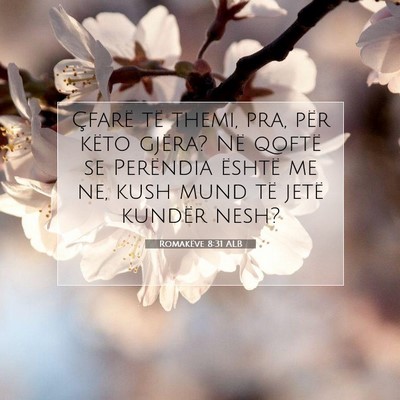 Picture 07 - Romakëve 8:31 ALB - Çfarë të themi, pra, për këto gjëra? Në - Bible Verse Picture