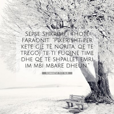 Picture 07 - Romakëve 9:17 ALB - Sepse Shkrimi i thotë Faraonit: “Pikërisht - Bible Verse Picture