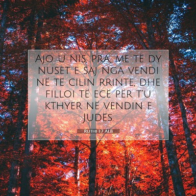 Picture 07 - Ruthi 1:7 ALB - Ajo u nis, pra, me të dy nuset e saj nga vendi - Bible Verse Picture