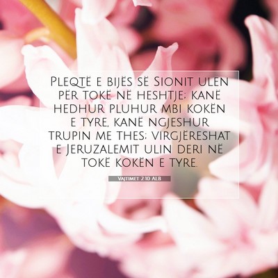 Picture 07 - Vajtimet 2:10 ALB - Pleqtë e bijës së Sionit ulen për tokë në - Bible Verse Picture
