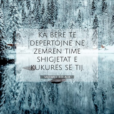 Picture 07 - Vajtimet 3:13 ALB - Ka bërë të depërtojnë në zemrën time - Bible Verse Picture
