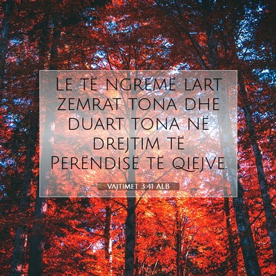 Picture 07 - Vajtimet 3:41 ALB - Le të ngremë lart zemrat tona dhe duart tona - Bible Verse Picture