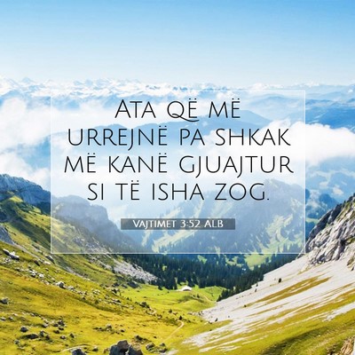 Picture 07 - Vajtimet 3:52 ALB - Ata që më urrejnë pa shkak më kanë gjuajtur - Bible Verse Picture