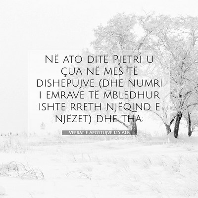 Picture 07 - Veprat e Apostujve 1:15 ALB - Në ato ditë Pjetri u çua në mes të - Bible Verse Picture