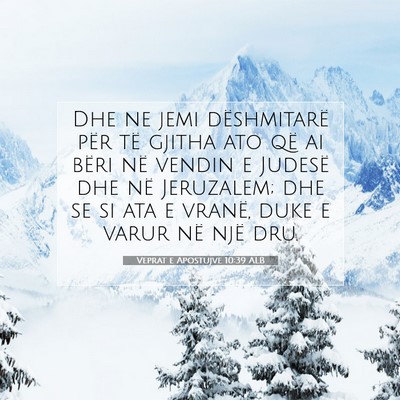 Picture 07 - Veprat e Apostujve 10:39 ALB - Dhe ne jemi dëshmitarë për të gjitha ato që - Bible Verse Picture