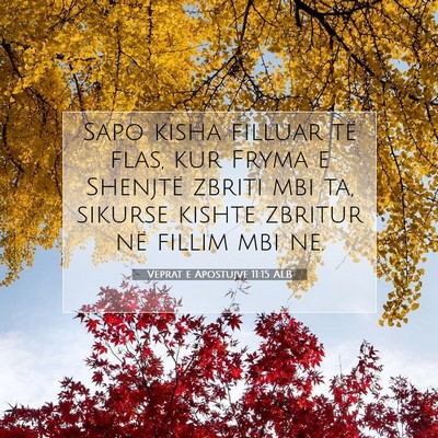Picture 07 - Veprat e Apostujve 11:15 ALB - Sapo kisha filluar të flas, kur Fryma e Shenjtë - Bible Verse Picture