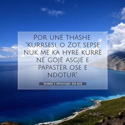 Picture 07 - Veprat e Apostujve 11:8 ALB - Por unë thashë: 