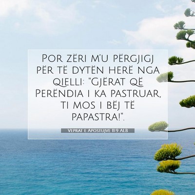 Picture 07 - Veprat e Apostujve 11:9 ALB - Por zëri m’u përgjigj për të dytën herë - Bible Verse Picture