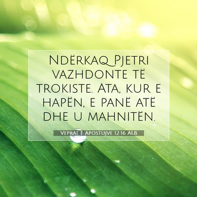Picture 07 - Veprat e Apostujve 12:16 ALB - Ndërkaq Pjetri vazhdonte të trokiste. Ata, kur - Bible Verse Picture