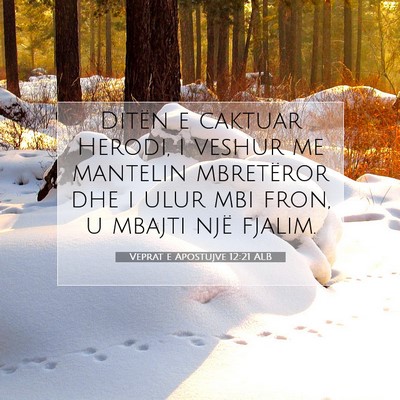 Picture 07 - Veprat e Apostujve 12:21 ALB - Ditën e caktuar Herodi, i veshur me mantelin - Bible Verse Picture