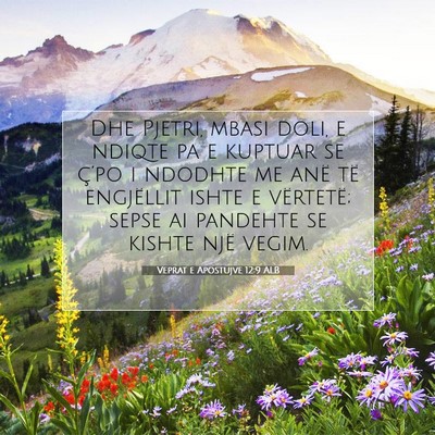 Picture 07 - Veprat e Apostujve 12:9 ALB - Dhe Pjetri, mbasi doli, e ndiqte pa e kuptuar se - Bible Verse Picture