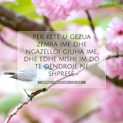 Picture 07 - Veprat e Apostujve 2:26 ALB - Për këtë u gëzua zemra ime dhe ngazëlloi - Bible Verse Picture