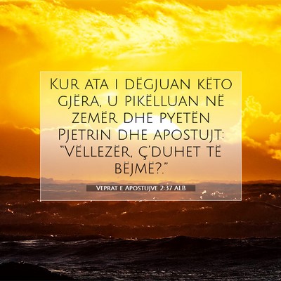 Picture 07 - Veprat e Apostujve 2:37 ALB - Kur ata i dëgjuan këto gjëra, u pikëlluan në - Bible Verse Picture
