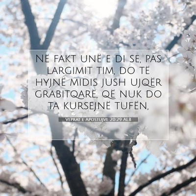 Picture 07 - Veprat e Apostujve 20:29 ALB - Në fakt unë e di se, pas largimit tim, do të - Bible Verse Picture