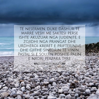 Picture 07 - Veprat e Apostujve 22:30 ALB - Të nesërmen, duke dashur të marrë vesh me - Bible Verse Picture