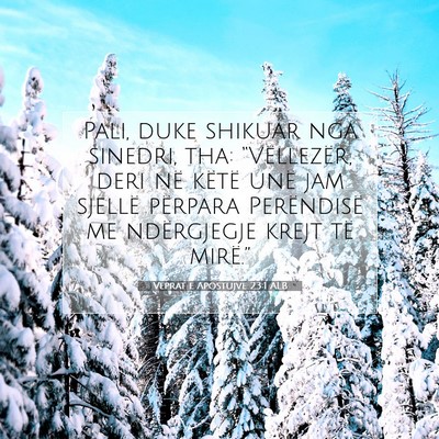 Picture 07 - Veprat e Apostujve 23:1 ALB - Pali, duke shikuar nga sinedri, tha: - Bible Verse Picture