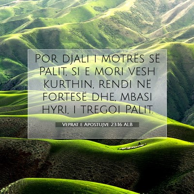 Picture 07 - Veprat e Apostujve 23:16 ALB - Por djali i motrës së Palit, si e mori vesh - Bible Verse Picture