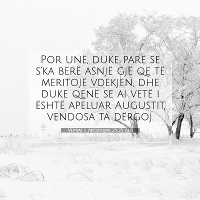 Picture 07 - Veprat e Apostujve 25:25 ALB - Por unë, duke parë se s’ka bërë asnjë gjë - Bible Verse Picture