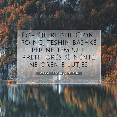 Picture 07 - Veprat e Apostujve 3:1 ALB - Por Pjetri dhe Gjoni po ngjiteshin bashkë për - Bible Verse Picture