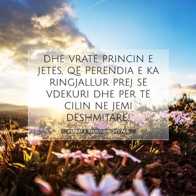 Picture 07 - Veprat e Apostujve 3:15 ALB - dhe vratë princin e jetës, që Perëndia e ka - Bible Verse Picture
