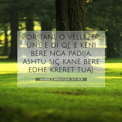 Picture 07 - Veprat e Apostujve 3:17 ALB - Por tani, o vëllezër, unë e di që e keni - Bible Verse Picture