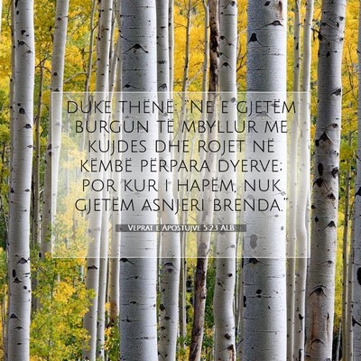 Picture 07 - Veprat e Apostujve 5:23 ALB - duke thënë: “Ne e gjetëm burgun të mbyllur - Bible Verse Picture
