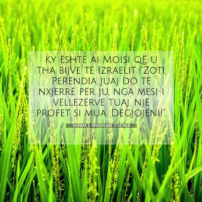 Picture 07 - Veprat e Apostujve 7:37 ALB - Ky është ai Moisi që u tha bijve të Izraelit: - Bible Verse Picture