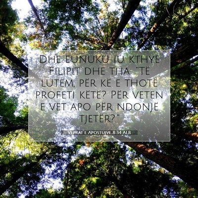 Picture 07 - Veprat e Apostujve 8:34 ALB - Dhe eunuku iu kthye Filipit dhe tha: “Të - Bible Verse Picture