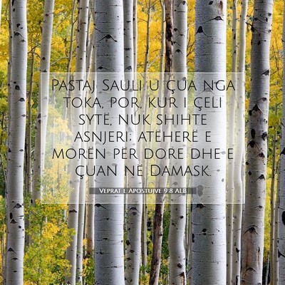 Picture 07 - Veprat e Apostujve 9:8 ALB - Pastaj Sauli u çua nga toka, por, kur i çeli - Bible Verse Picture