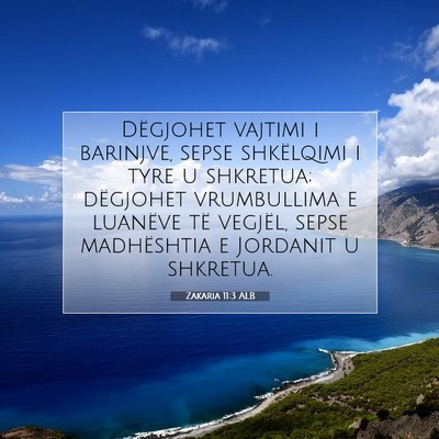 Picture 07 - Zakaria 11:3 ALB - Dëgjohet vajtimi i barinjve, sepse shkëlqimi i - Bible Verse Picture