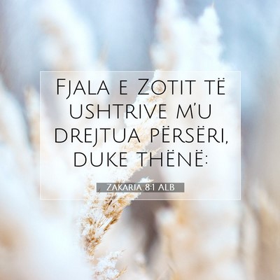 Picture 07 - Zakaria 8:1 ALB - Fjala e Zotit të ushtrive m’u drejtua - Bible Verse Picture