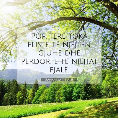 Picture 07 - Zanafilla 11:1 ALB - Por tërë toka fliste të njëjtën gjuhë dhe - Bible Verse Picture