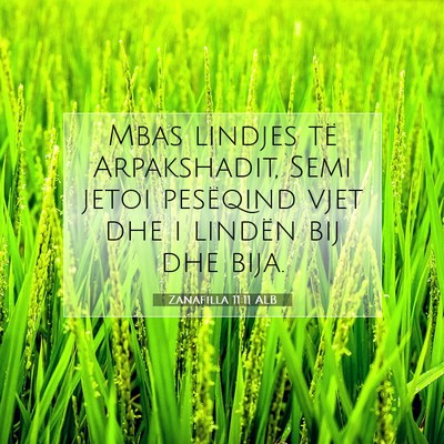 Picture 07 - Zanafilla 11:11 ALB - Mbas lindjes të Arpakshadit, Semi jetoi - Bible Verse Picture